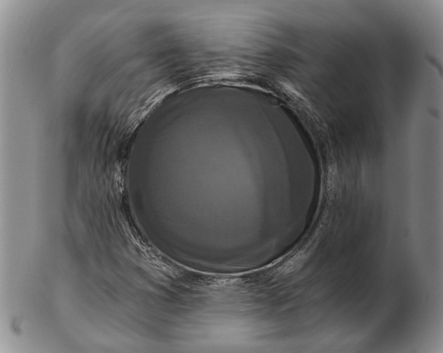 X0000102801353200809081103