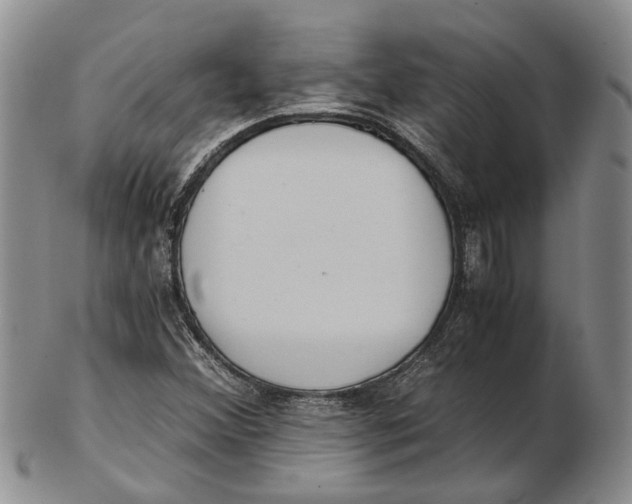 X0000102801356200809081103