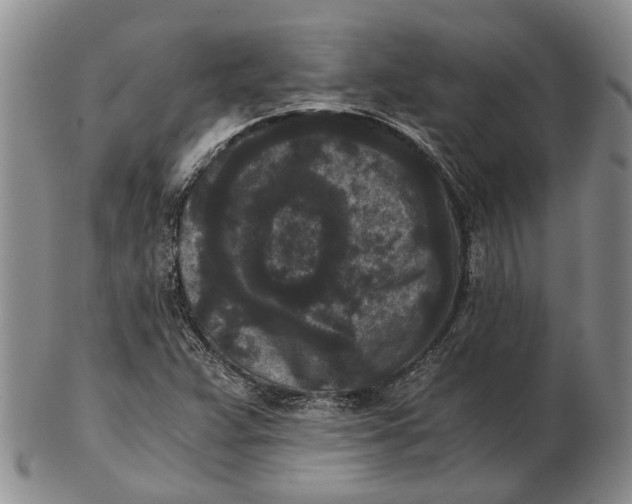 X0000102801359200809081103