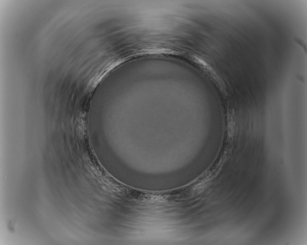 X0000102801361200809081103