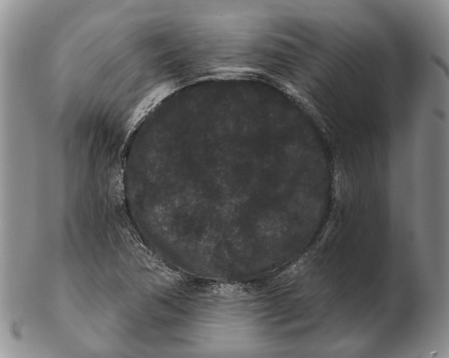 X0000102801362200809081103