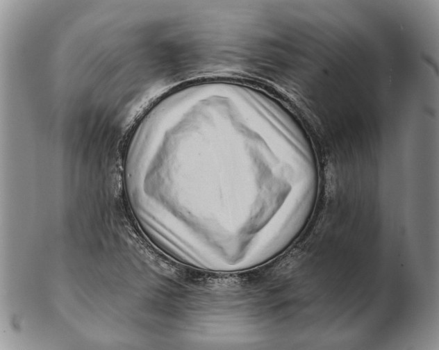 X0000102801363200809081103