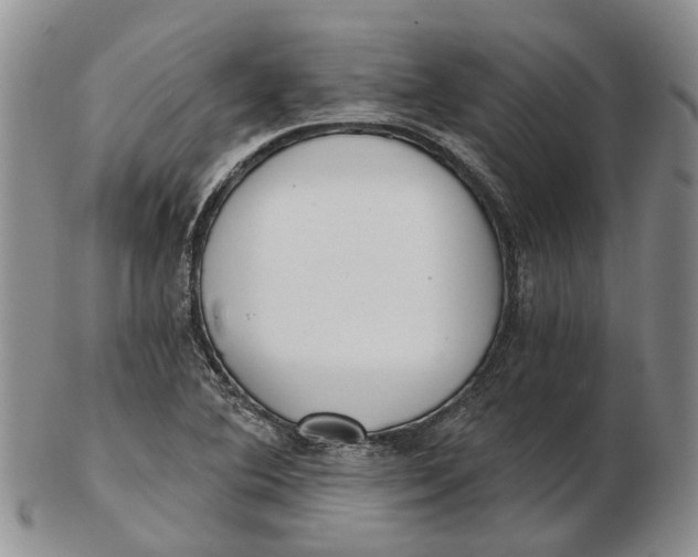 X0000102801364200809081103