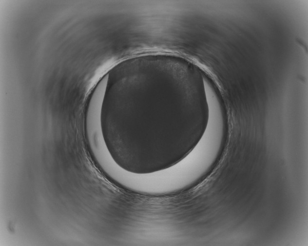 X0000102801365200809081103