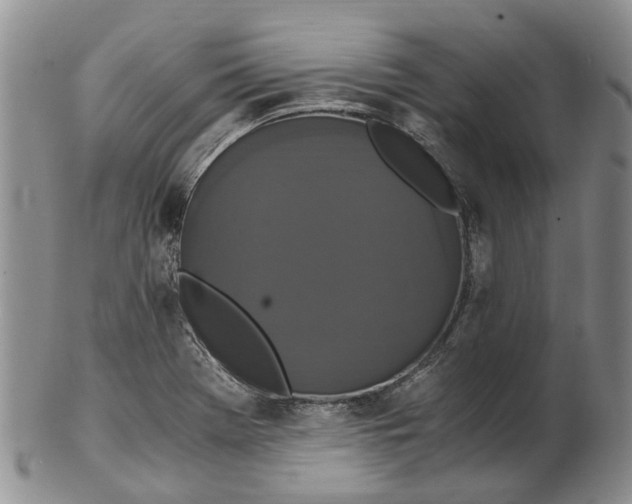 X0000102801369200809081103