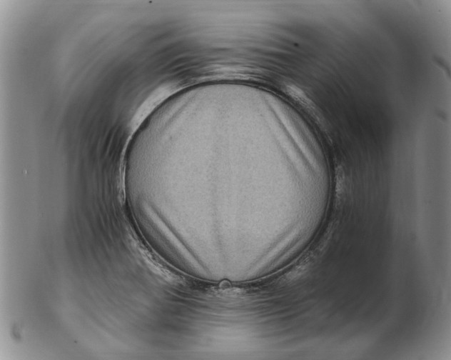 X0000102801370200809081103