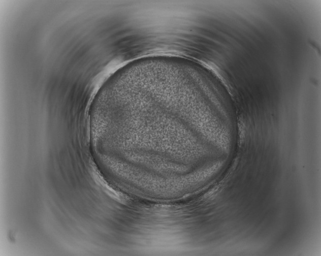 X0000102801371200809081103