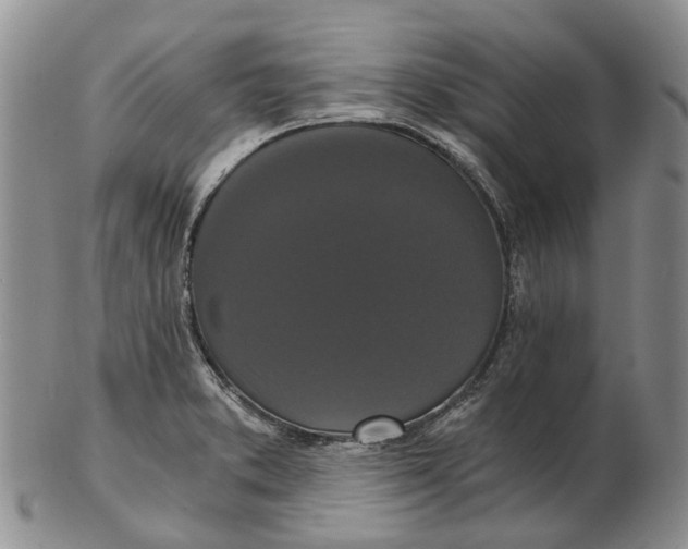 X0000102801373200809081103