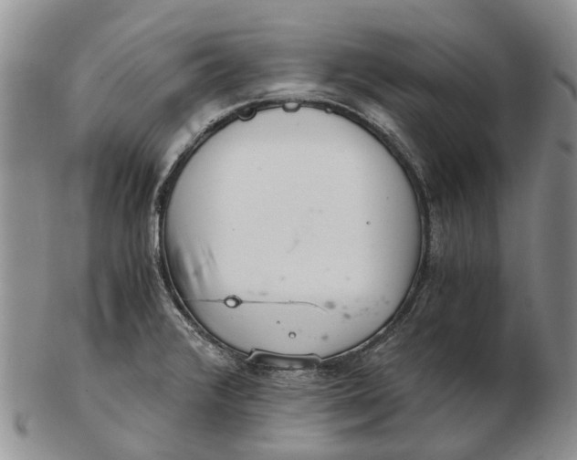 X0000102801376200809081103