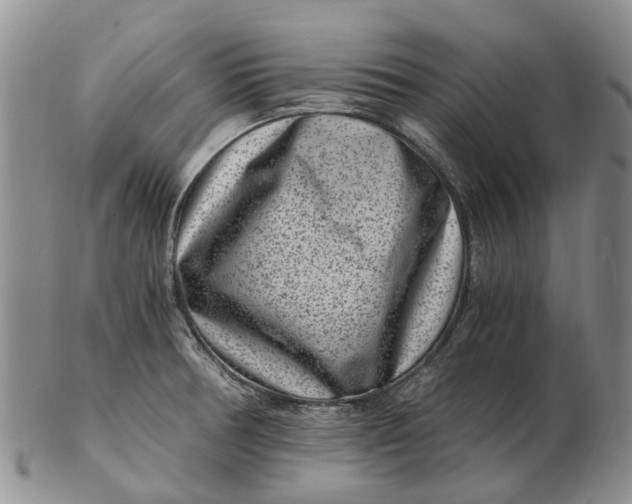 X0000102801378200809081103