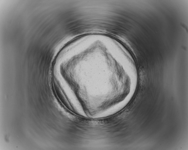 X0000102801379200809081103