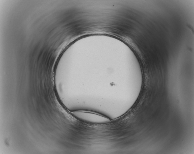 X0000102801380200809081102