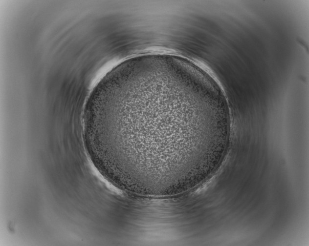 X0000102801381200809081102