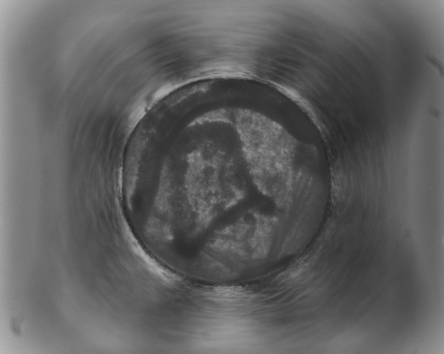 X0000102801383200809081102