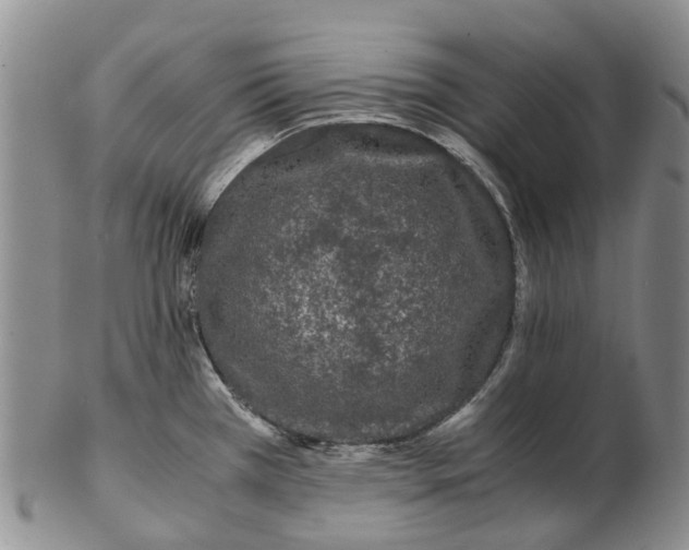 X0000102801385200809081102