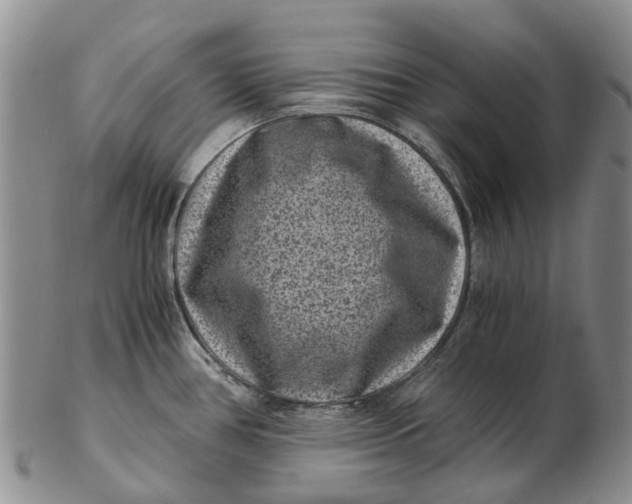 X0000102801386200809081102