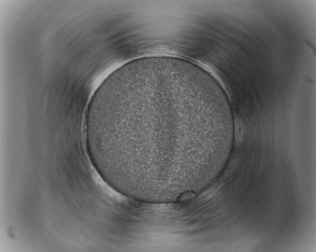 X0000102801387200809081102