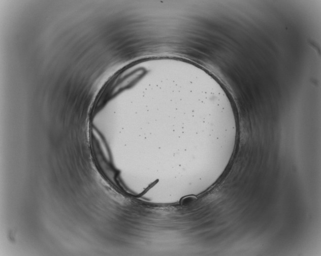 X0000102801388200809081102