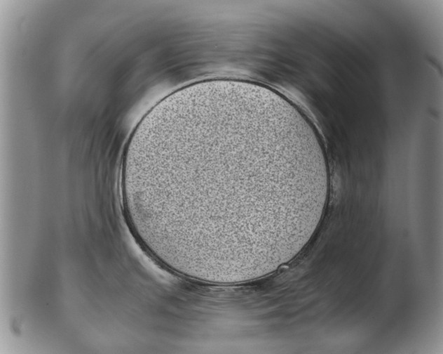 X0000102801391200809081102