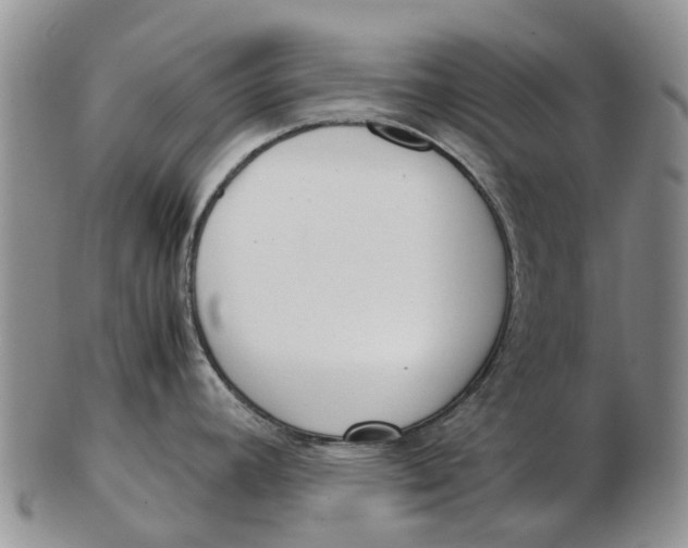 X0000102801392200809081102