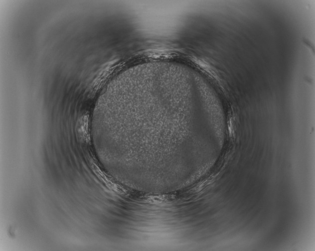 X0000102801396200809081102