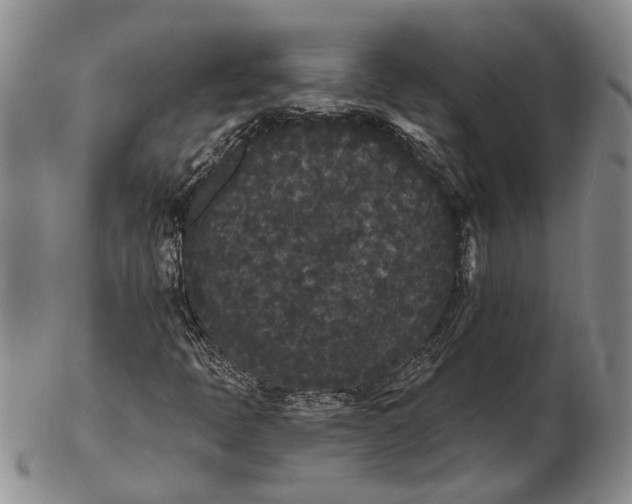 X0000102801397200809081102