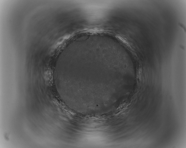 X0000102801398200809081102