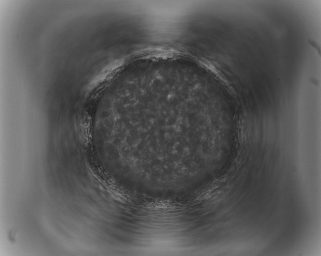 X0000102801399200809081102