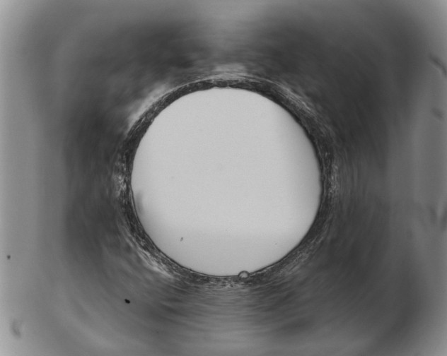 X0000102801400200809081102