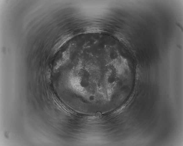 X0000102801401200809081102