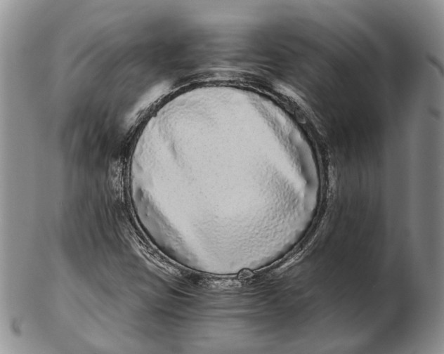 X0000102801403200809081102