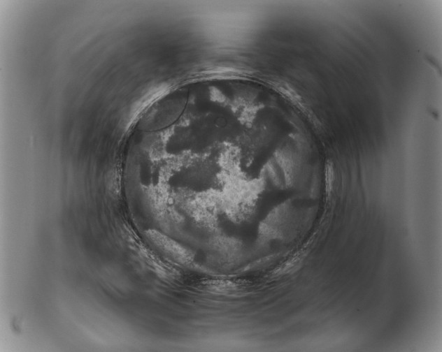 X0000102801405200809081102