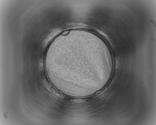 X0000102801407200809081102