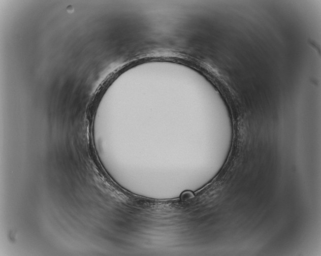 X0000102801408200809081102