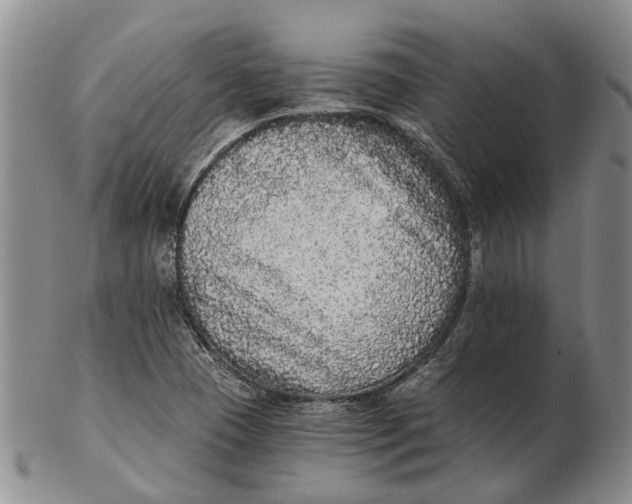 X0000102801409200809081102