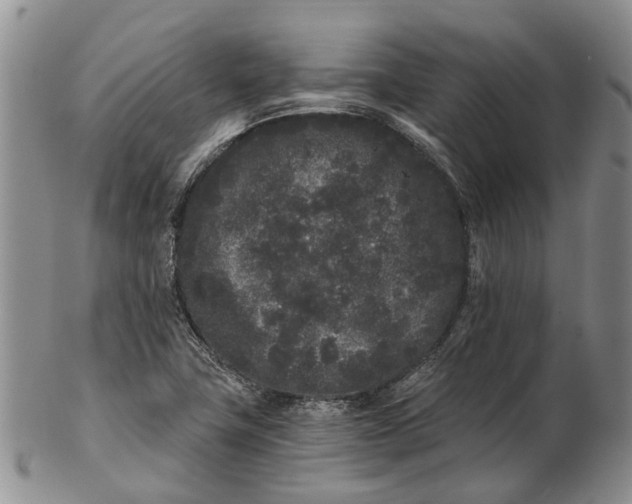 X0000102801411200809081102