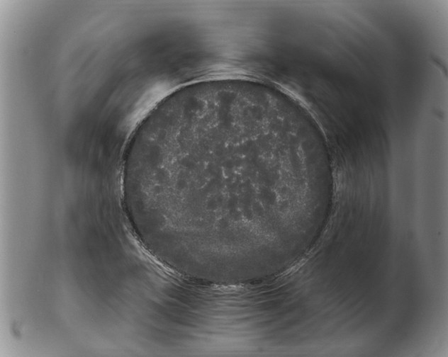 X0000102801415200809081102