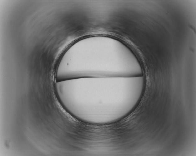 X0000102801416200809081102