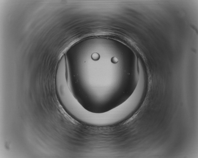 X0000102801417200809081102