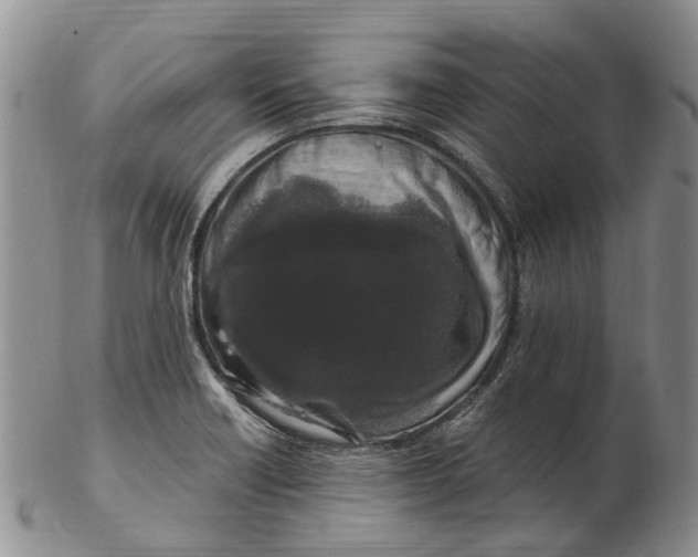 X0000102801418200809081102