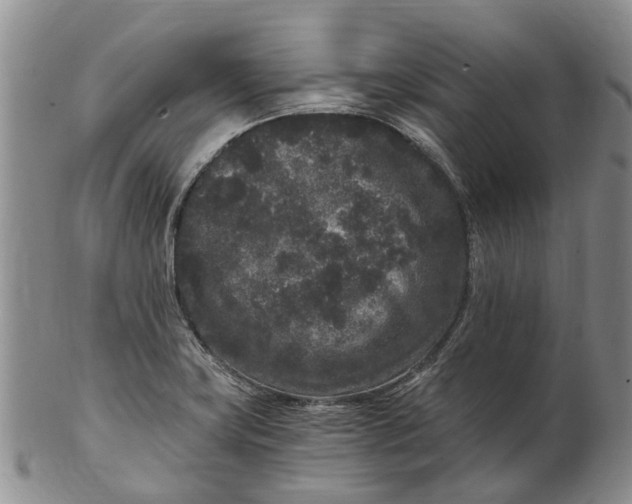 X0000102801419200809081102