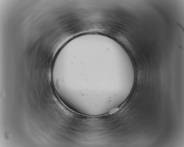 X0000102801420200809081102