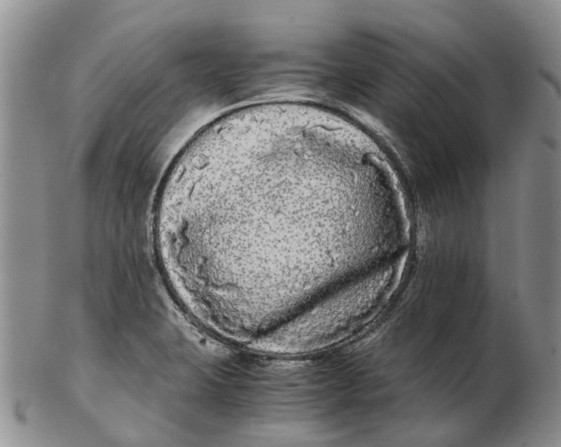 X0000102801423200809081102