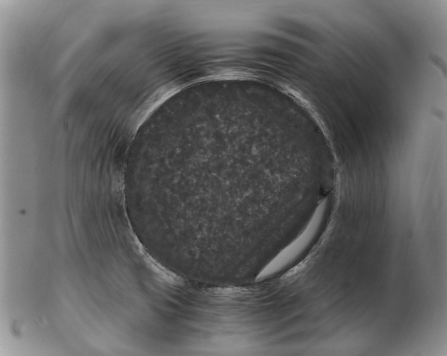 X0000102801425200809081102