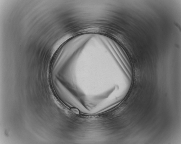 X0000102801426200809081102