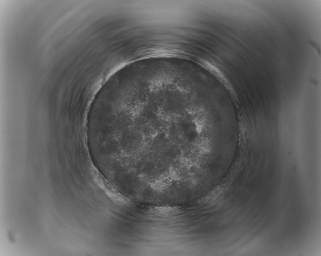 X0000102801427200809081102