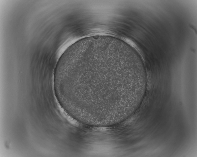 X0000102801431200809081102