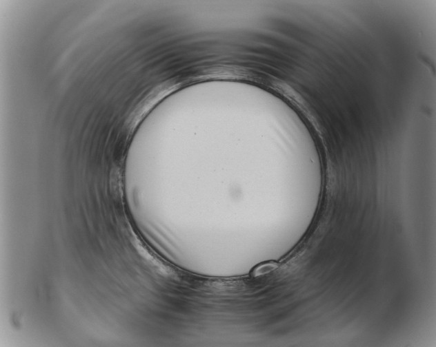 X0000102801433200809081102