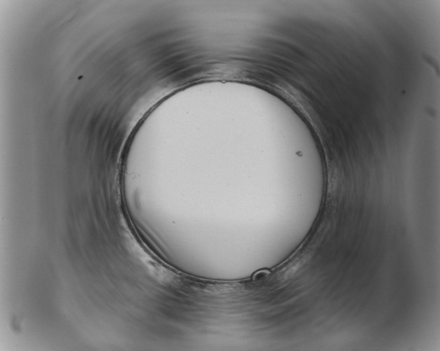 X0000102801434200809081102