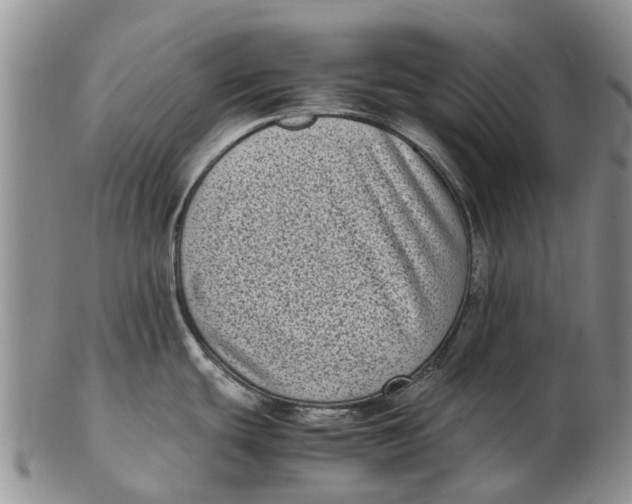 X0000102801439200809081102